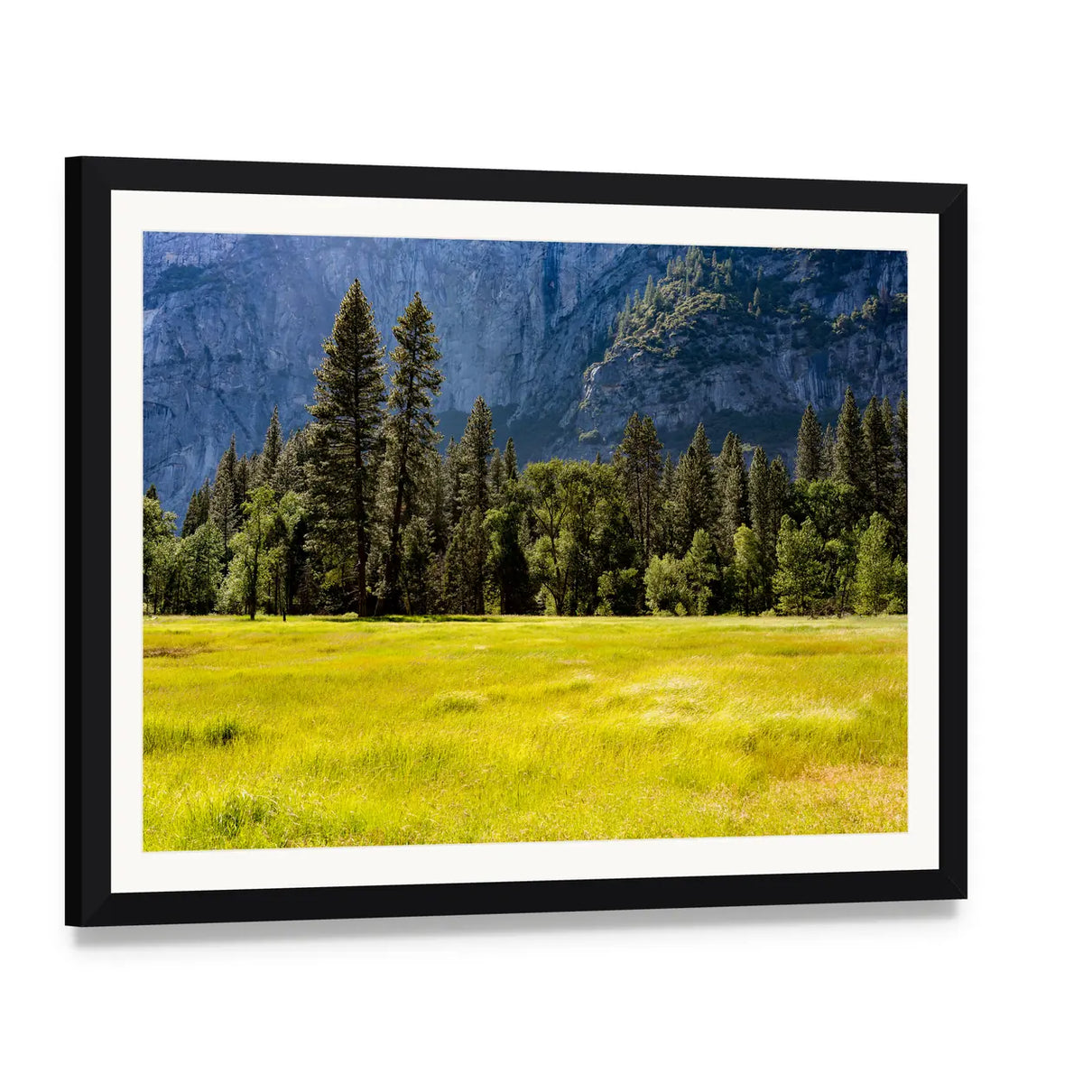 Spring Meadow at Yosemite National Park Canvas Wall Art, framed print with white mat and black frame, angled product view
