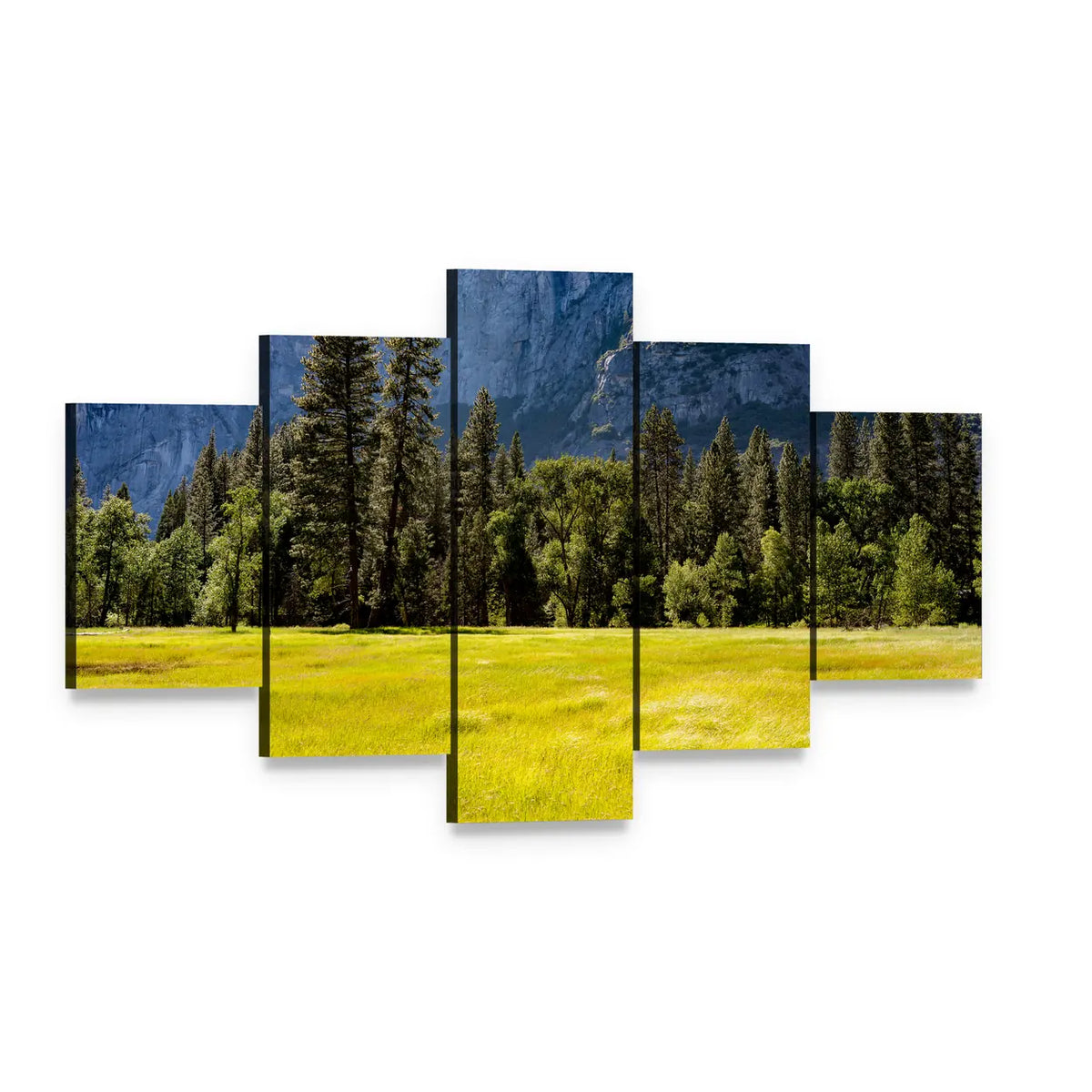 Spring Meadow at Yosemite National Park Canvas Wall Art, 5 panel 5 Star layout gallery wrapped canvas set, angled product view