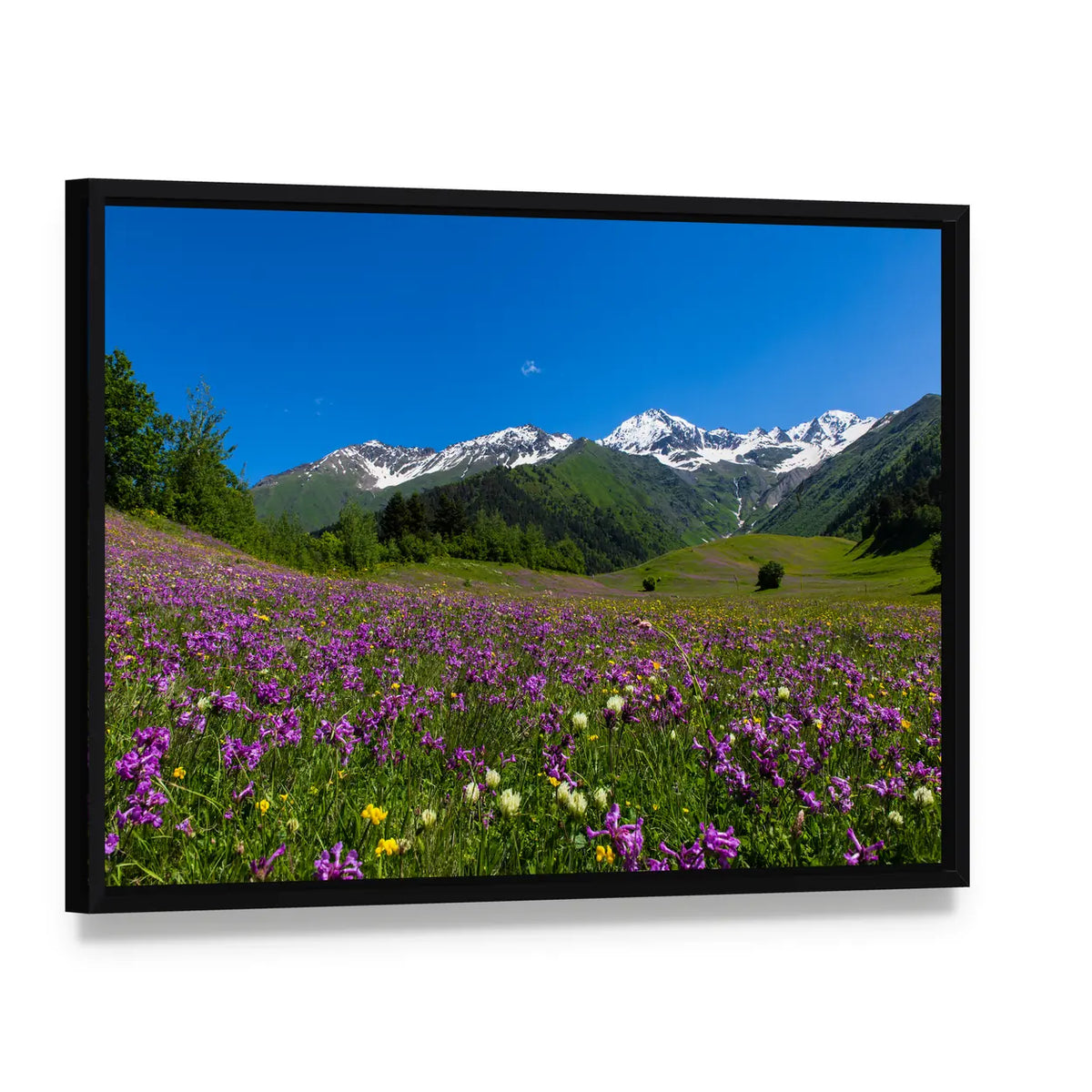 Alpine Fields with Purple Flowers Canvas Wall Art, framed canvas in a black floater frame, angled product view
