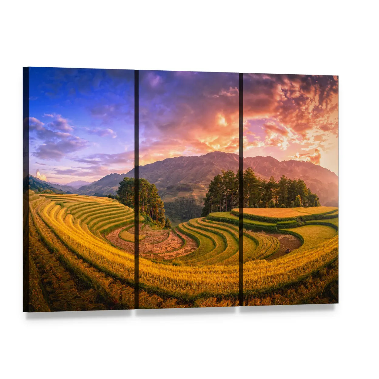 Rice Terraces at Sunset with Pine Tree Canvas Wall Art, 3 panel 3 Horizontal layout gallery wrapped canvas set, angled product view