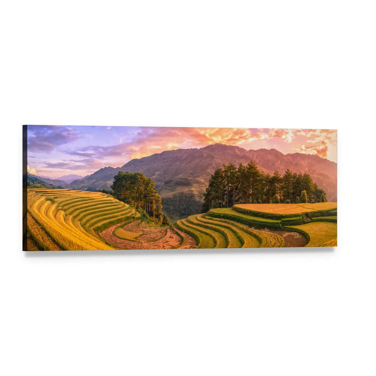 Vietnam Terraced Rice Fields at Sunset Panoramic Canvas Wall Art, single panel gallery wrapped canvas, angled product view