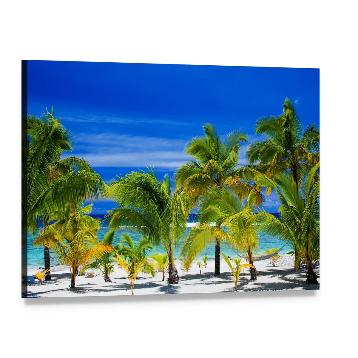 Palm Trees on a Tropical Beach Canvas Wall Art, single panel gallery wrapped canvas, angled product view
