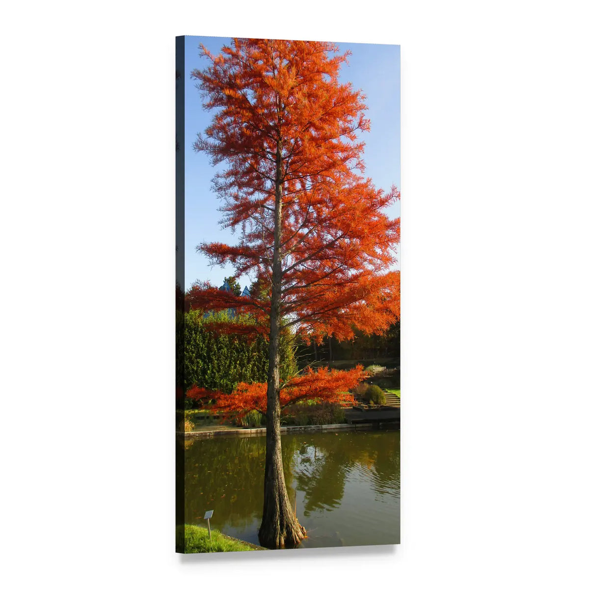 Autumn Tree Reflected in Lake Vertical Canvas Wall Art, 1 panel 1 Vertical layout gallery wrapped canvas set, angled product view