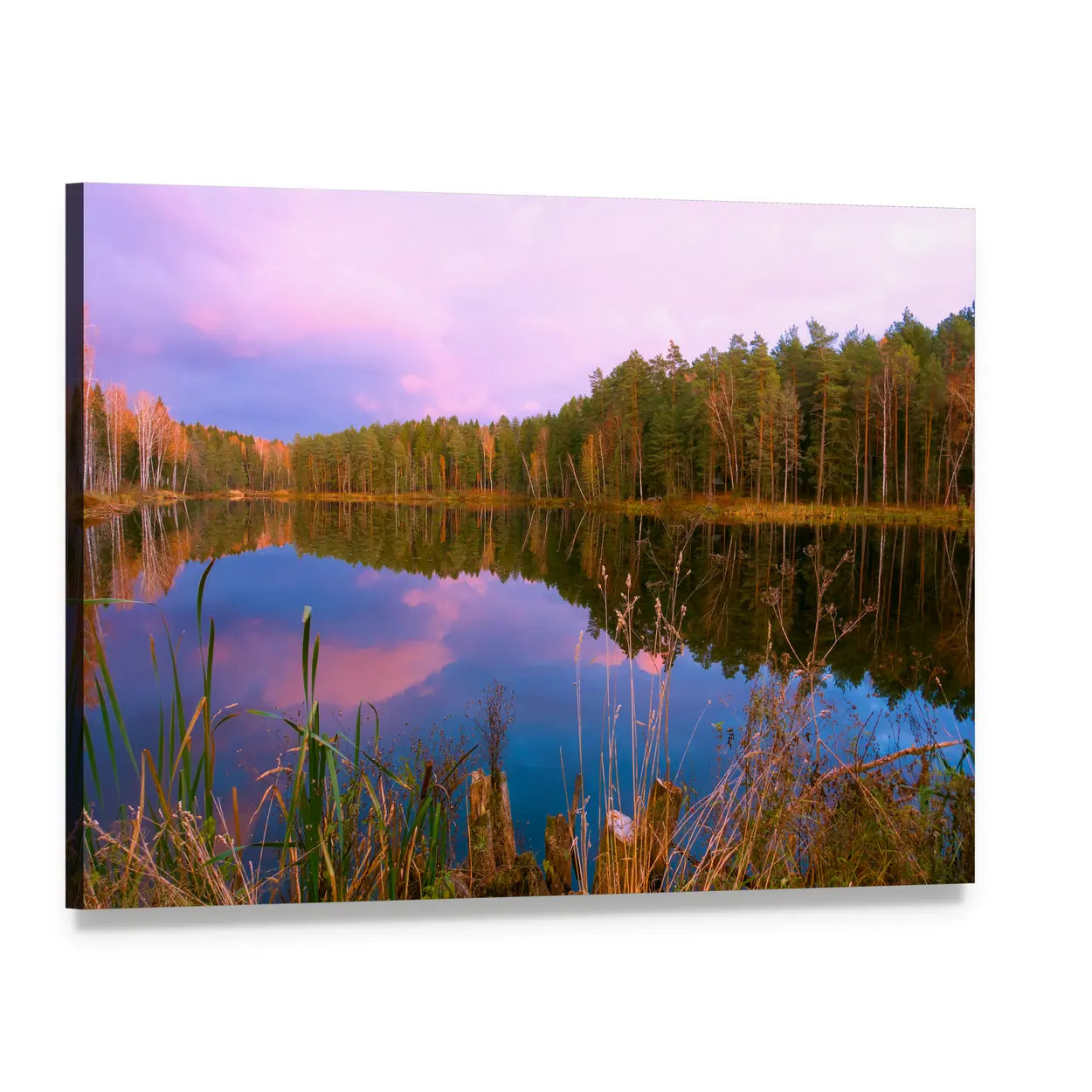 Forest Lake at Sunrise Canvas Wall Art, single panel gallery wrapped canvas, angled product view