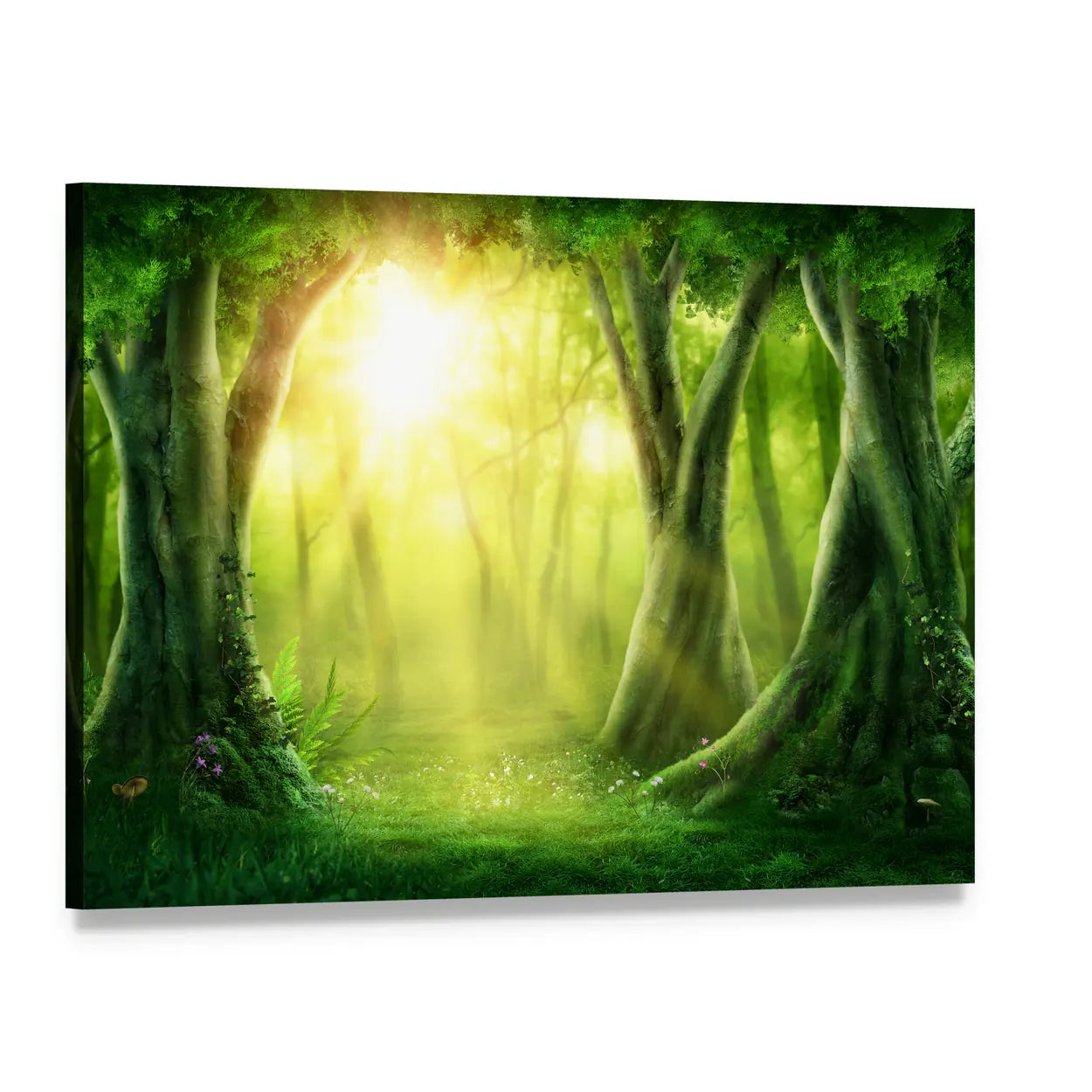Dark Magic Forest With Sunshine Canvas Wall Art, single panel gallery wrapped canvas, angled product view
