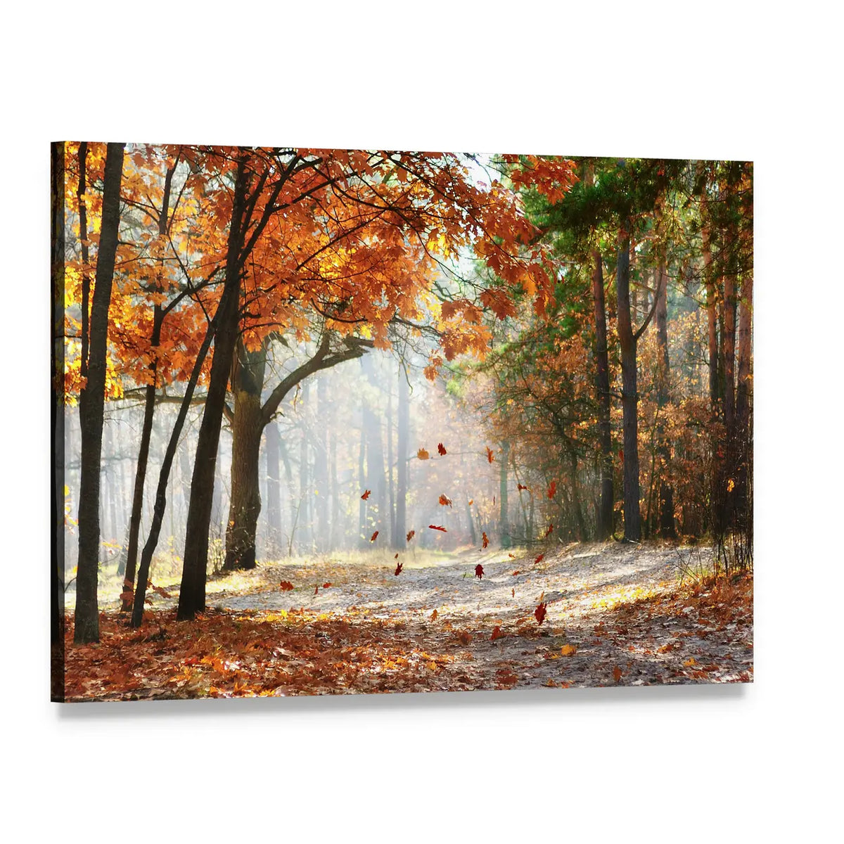 Falling Oak Leaves on Woodland Path Canvas Wall Art, single panel gallery wrapped canvas, angled product view