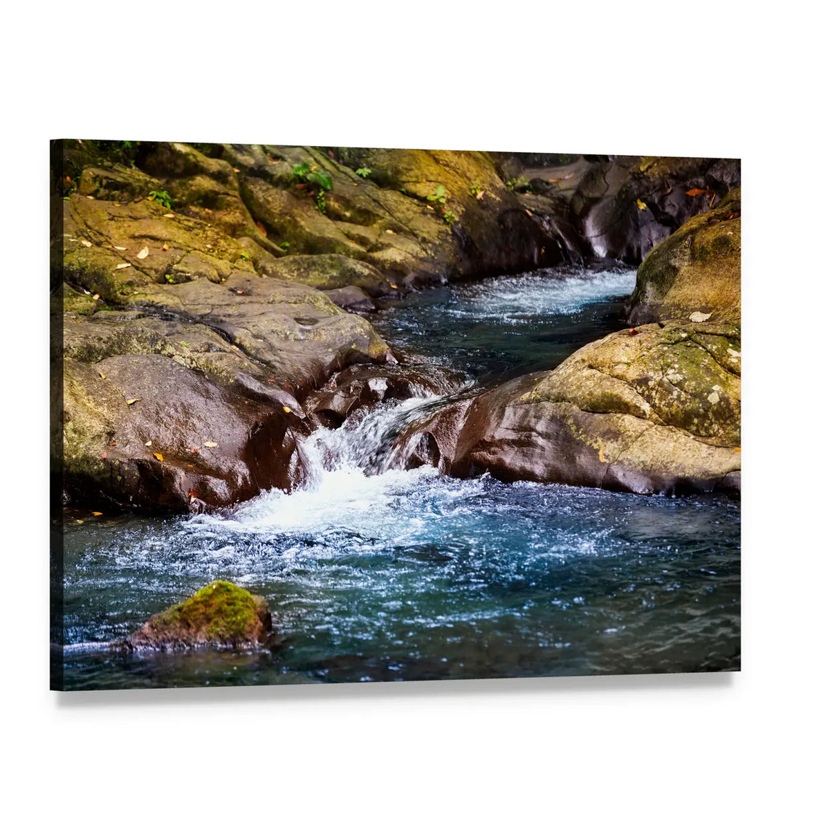 Rainforest Stream with Little Waterfalls Canvas Wall Art, single panel gallery wrapped canvas, angled product view