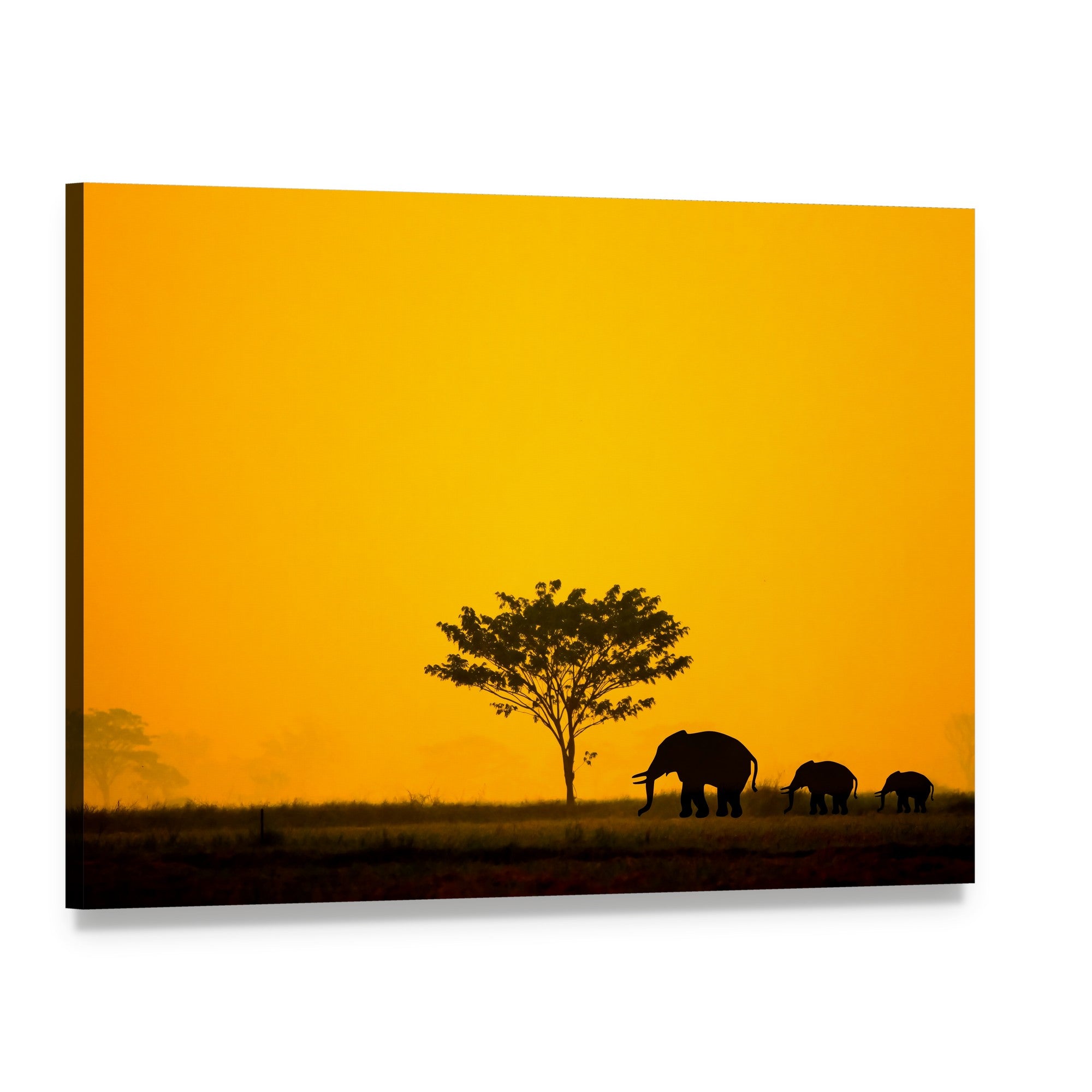 Group of Elephants in Thailand Canvas Wall Art, single panel gallery wrapped canvas, angled product view