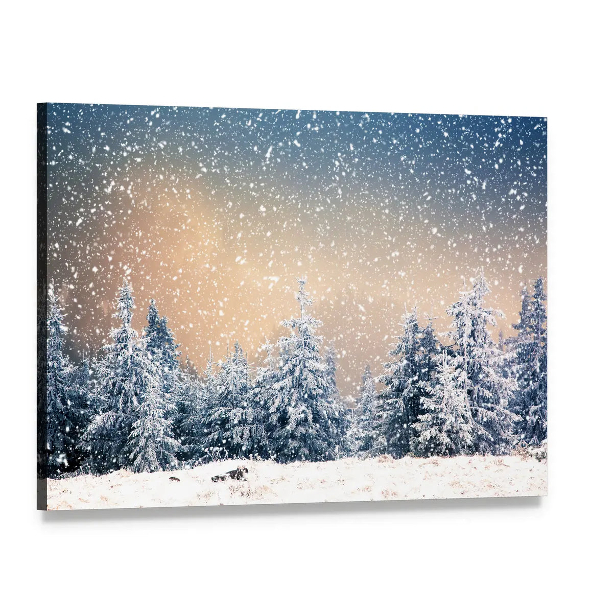 Snowy Fir Trees In The Mountains Canvas Wall Art, single panel gallery wrapped canvas, angled product view