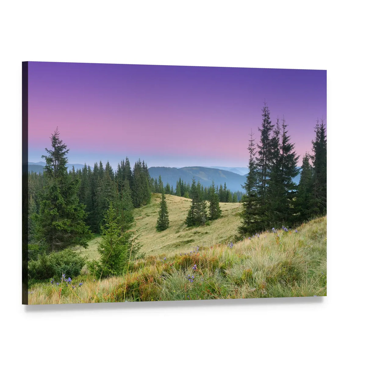 Twilight Mountain Meadow Canvas Wall Art, single panel gallery wrapped canvas, angled product view