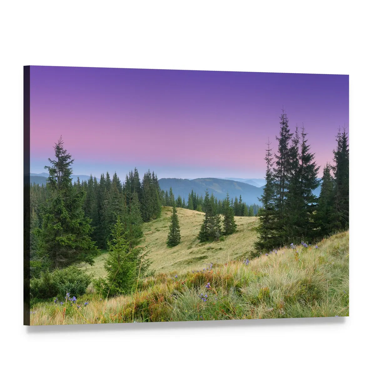 Twilight Mountain Meadow Canvas Wall Art, single panel gallery wrapped canvas, angled product view