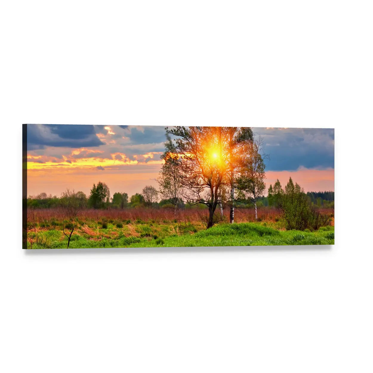 Tree at Sunset Over Summer Field Panoramic Canvas Wall Art, single panel gallery wrapped canvas, angled product view