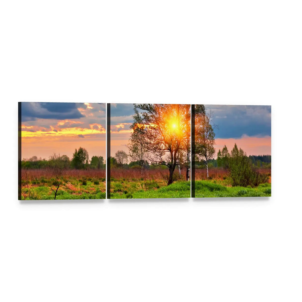 Tree at Sunset Over Summer Field Panoramic Canvas Wall Art, 3 panel 3 Piece layout gallery wrapped canvas set, angled product view