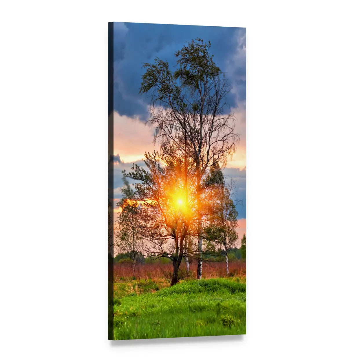 Birch at Sunset in Summer Field Vertical Canvas Wall Art, 1 panel 1 Vertical layout gallery wrapped canvas set, angled product view