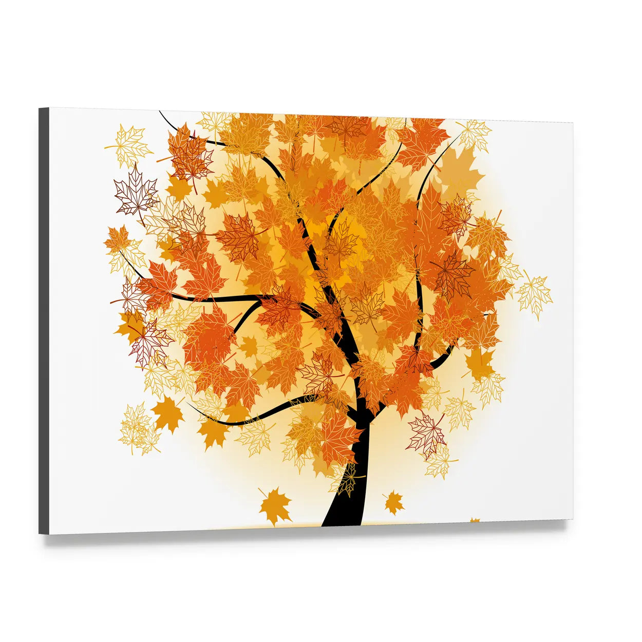 Maple Tree in Autumn Canvas Wall Art, single panel gallery wrapped canvas, angled product view