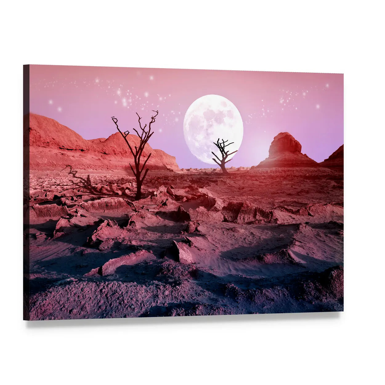 Lonely Dry Trees in Desert Canvas Wall Art, single panel gallery wrapped canvas, angled product view