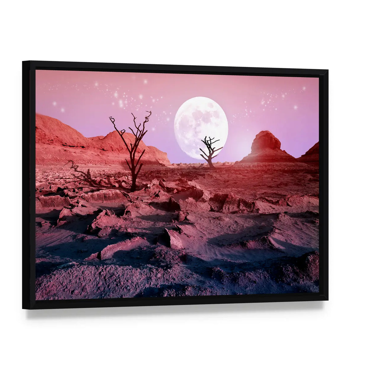 Lonely Dry Trees in Desert Canvas Wall Art, framed canvas in a black floater frame, angled product view