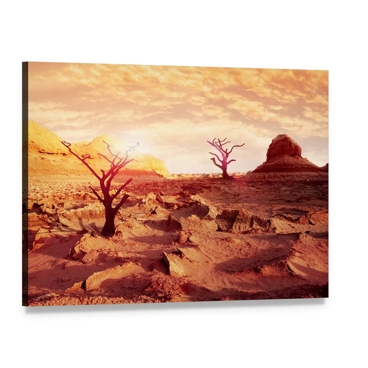 Dry Trees in the Desert Canvas Wall Art, single panel gallery wrapped canvas, angled product view