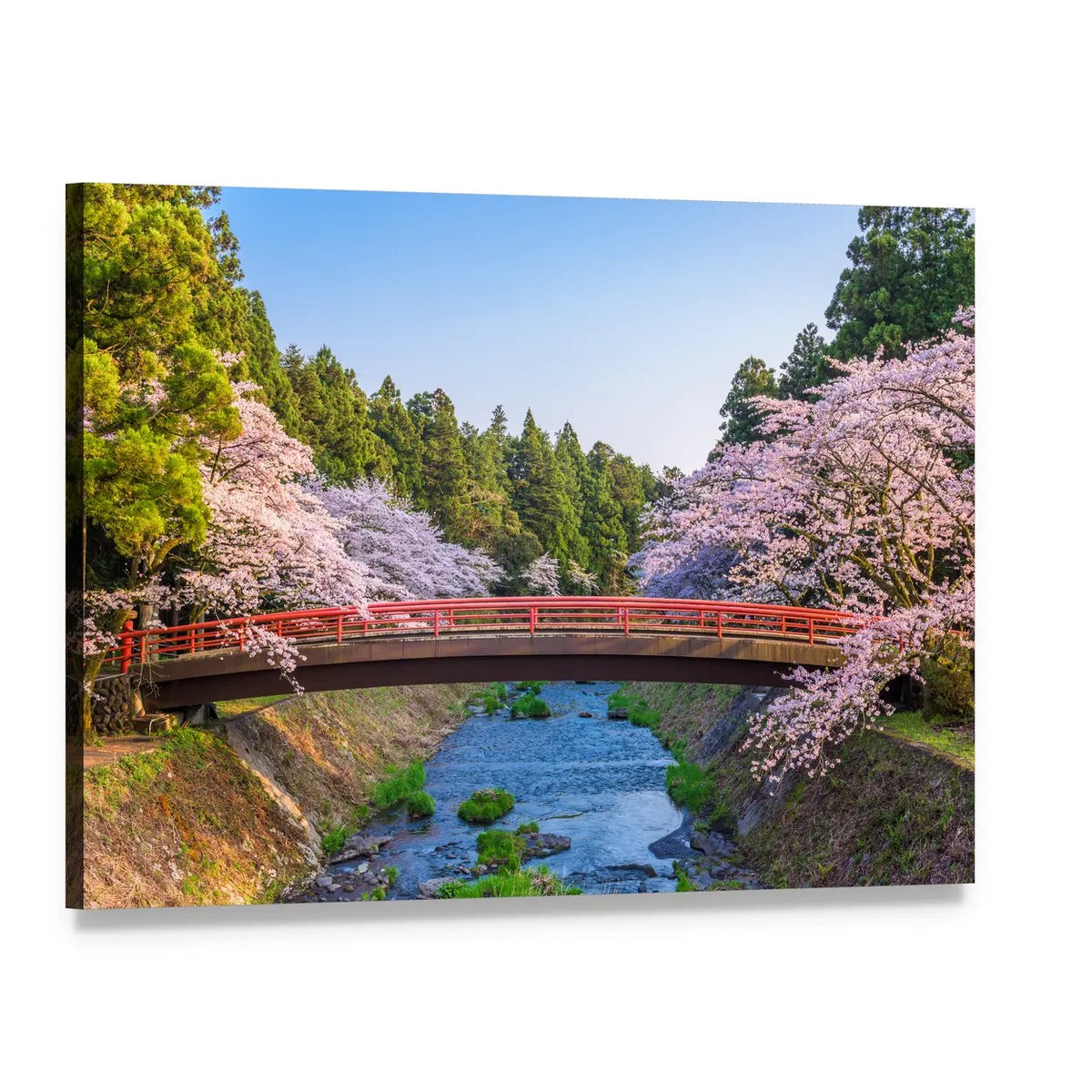Cherry Blossoms Over Red Arched Bridge Canvas Wall Art, single panel gallery wrapped canvas, angled product view