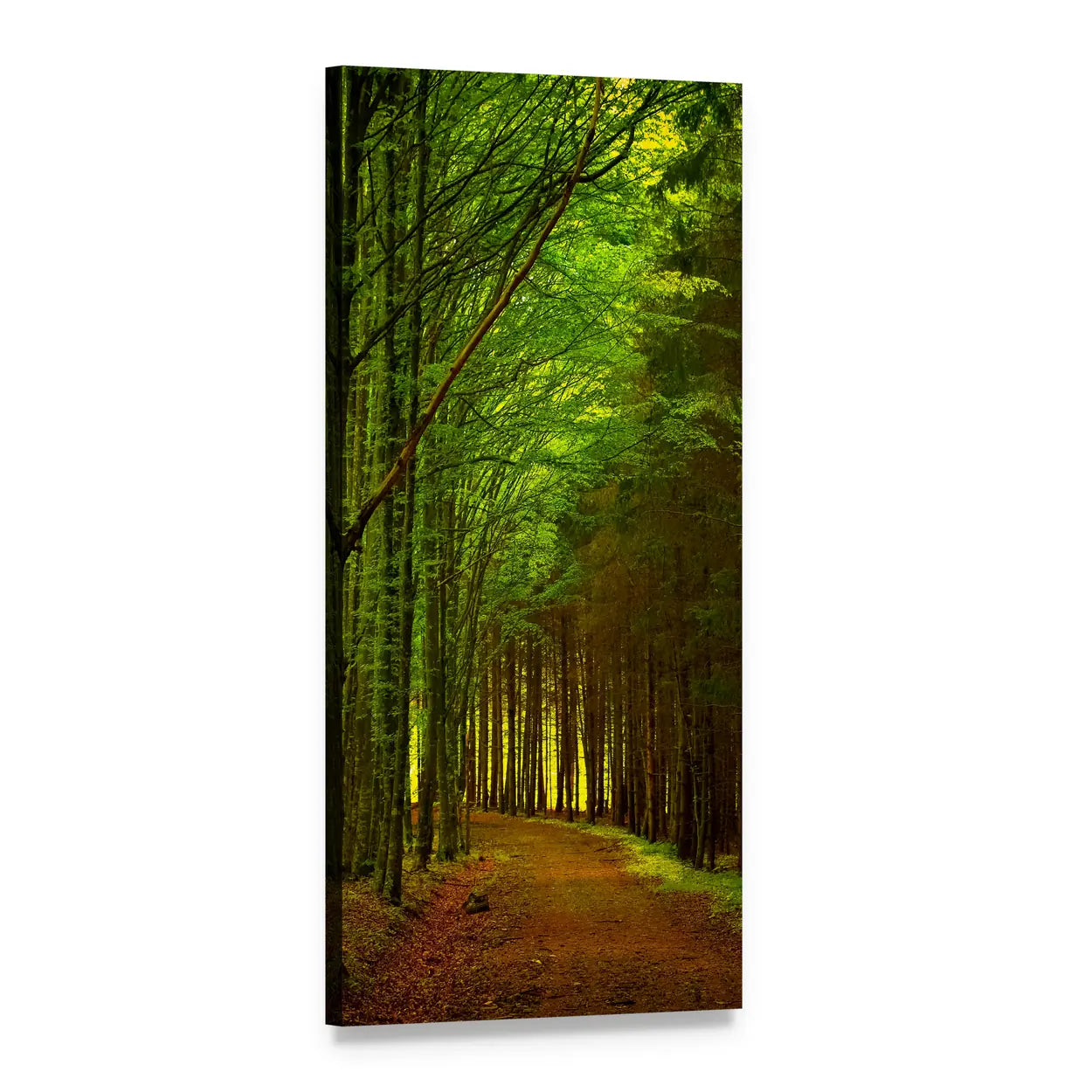Sunlit Autumn Forest Path Vertical Canvas Wall Art, 1 panel 1 Vertical layout gallery wrapped canvas set, angled product view