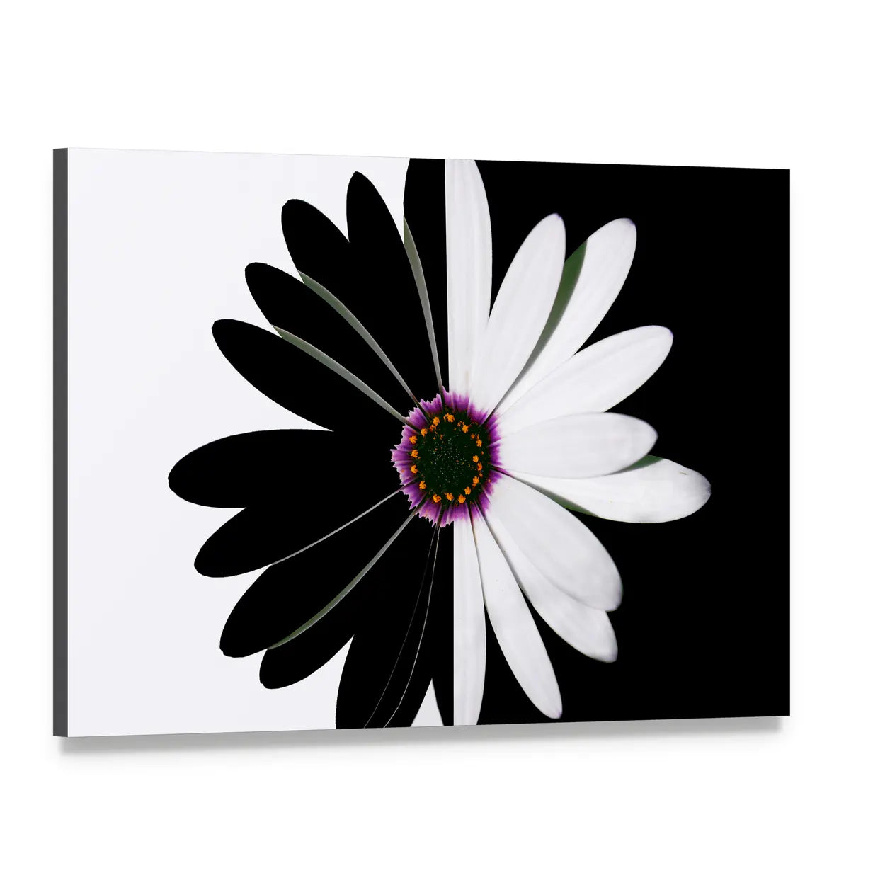 Black And White Flower Canvas Wall Art, single panel gallery wrapped canvas, angled product view