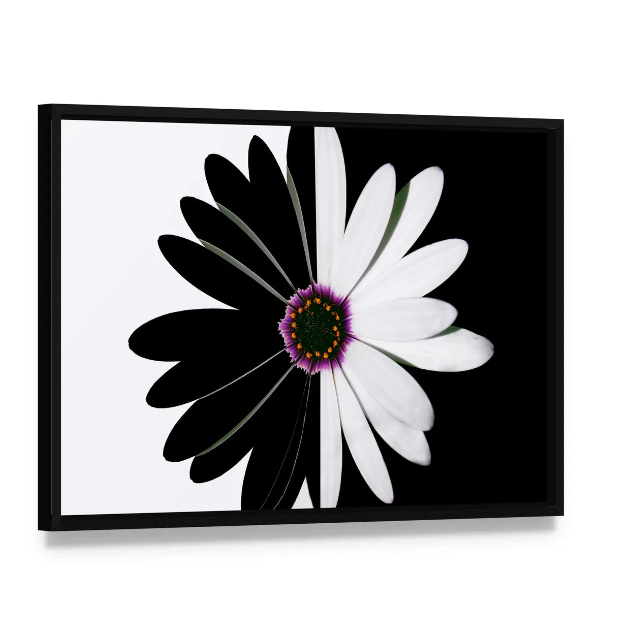 Black And White Flower Canvas Wall Art, framed canvas in a black floater frame, angled product view