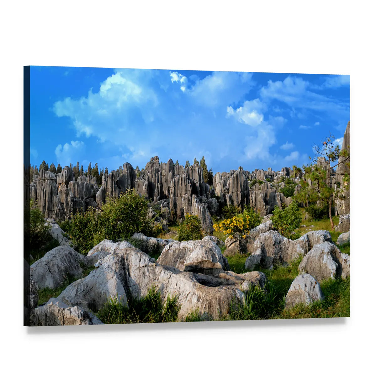 Stone Forest In Yunnan China Canvas Wall Art, single panel gallery wrapped canvas, angled product view