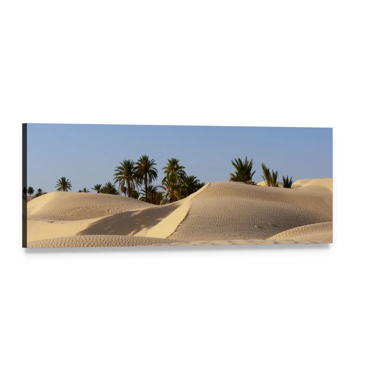 Desert Dunes with Palm Oasis Panoramic Canvas Wall Art, single panel gallery wrapped canvas, angled product view