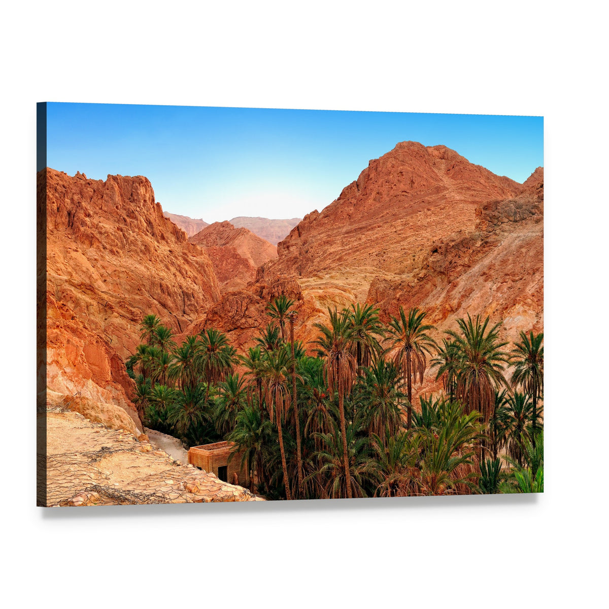 Desert Oasis with Palm Trees Canvas Wall Art, single panel gallery wrapped canvas, angled product view