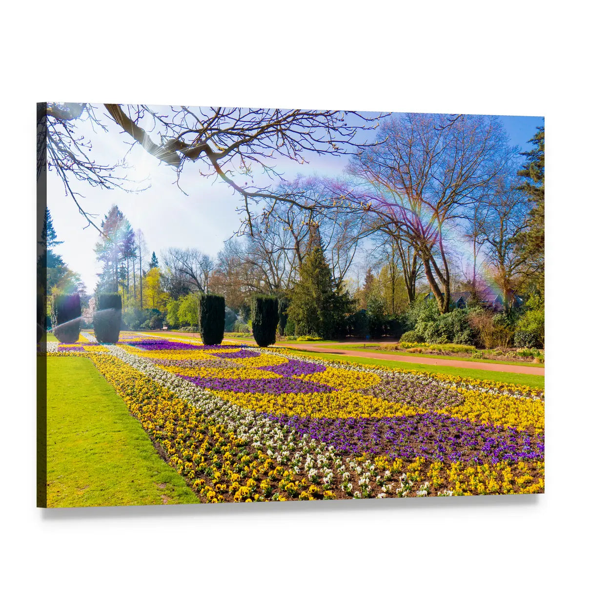 Spring Garden with Sunlit Flower Bed Canvas Wall Art, single panel gallery wrapped canvas, angled product view