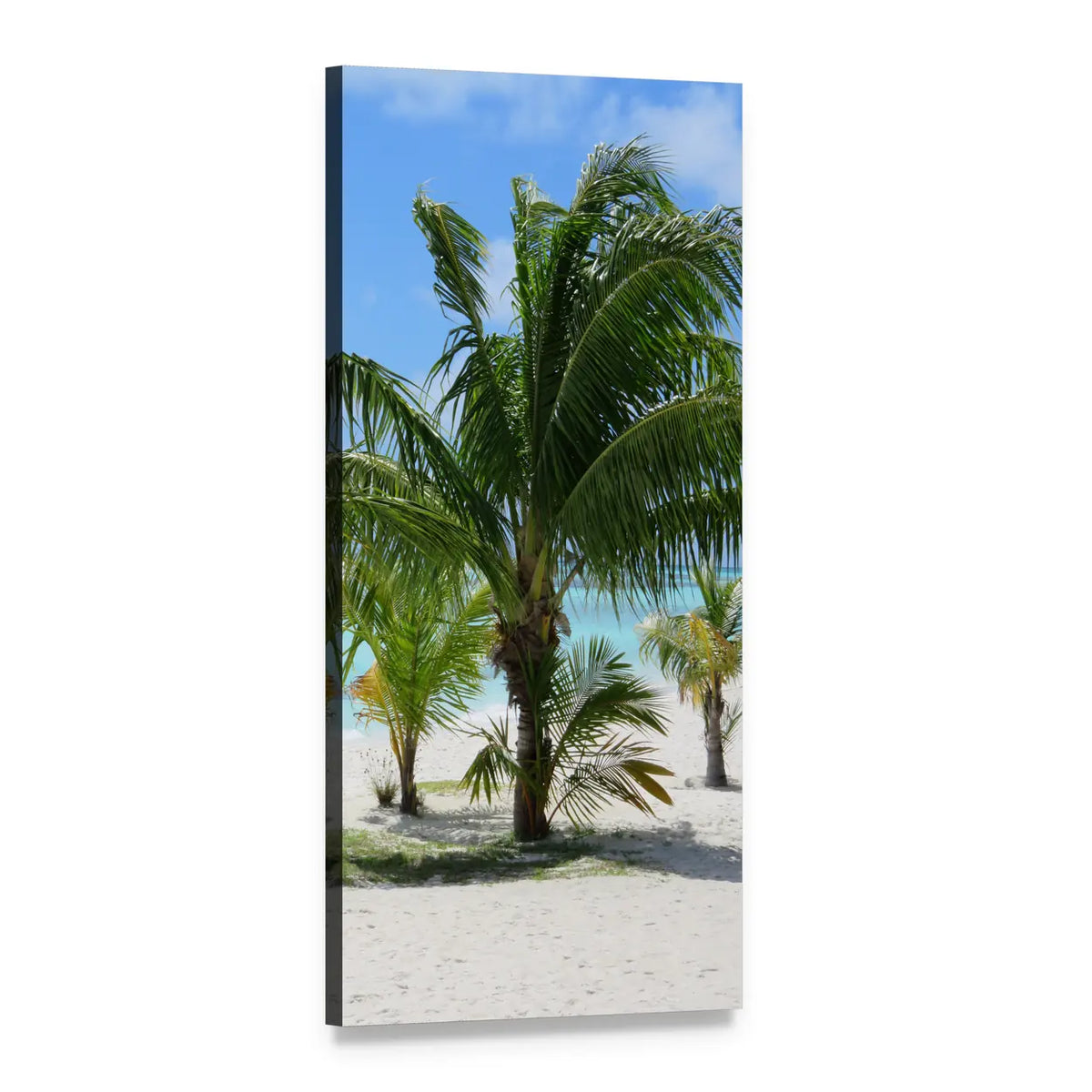 Palm Trees on White Sand Beach Vertical Canvas Wall Art, 1 panel 1 Vertical layout gallery wrapped canvas set, angled product view