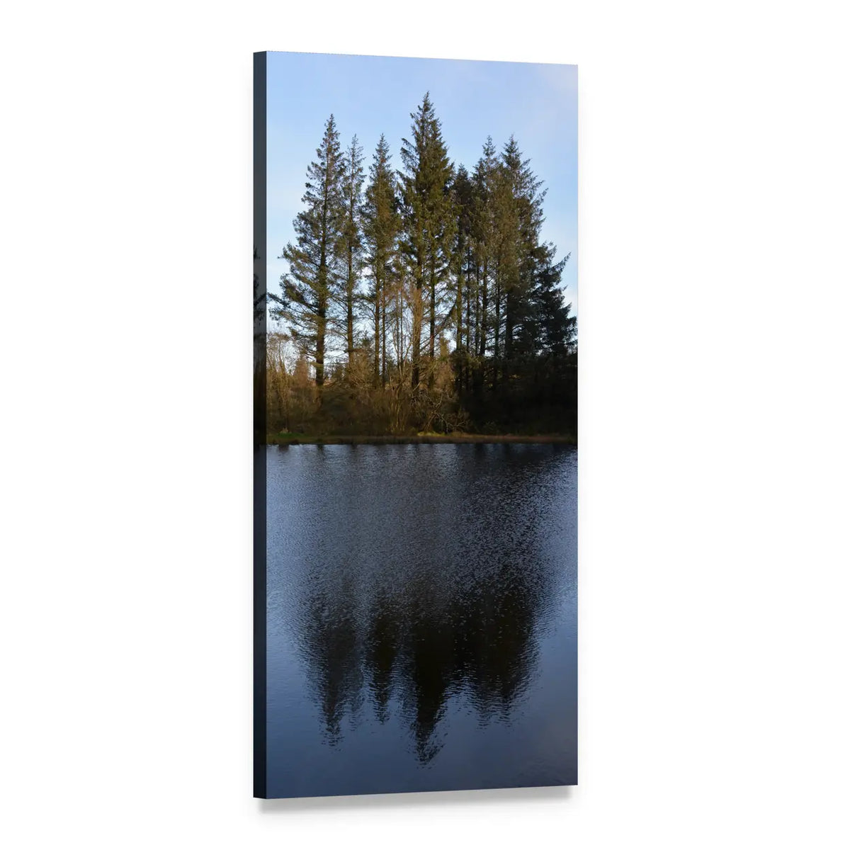 Pine Trees Reflection in Lake Vertical Canvas Wall Art, 1 panel 1 Vertical layout gallery wrapped canvas set, angled product view