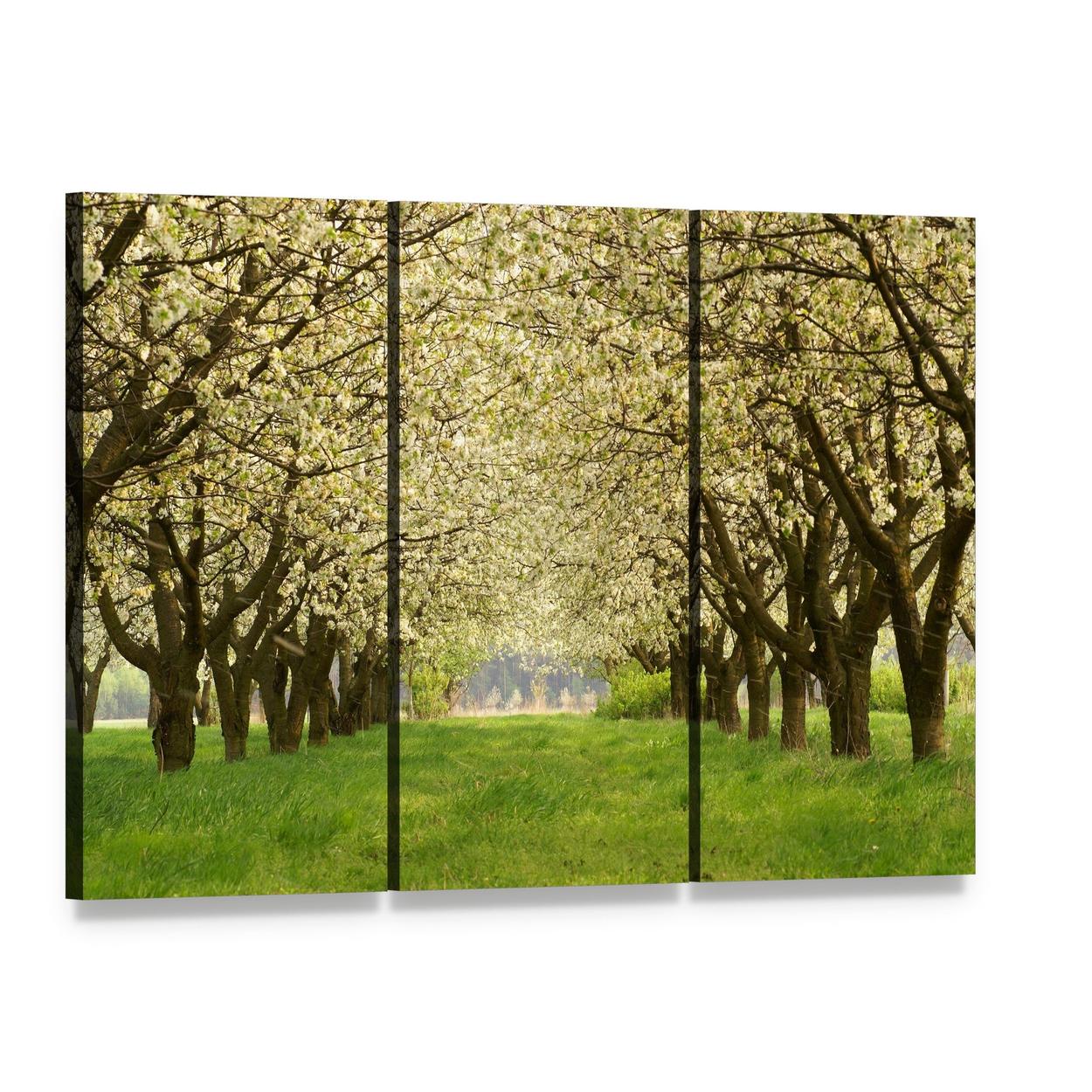 Spring in Cherry Orchard Poland Canvas Wall Art, 3 panel 3 Horizontal layout gallery wrapped canvas set, angled product view