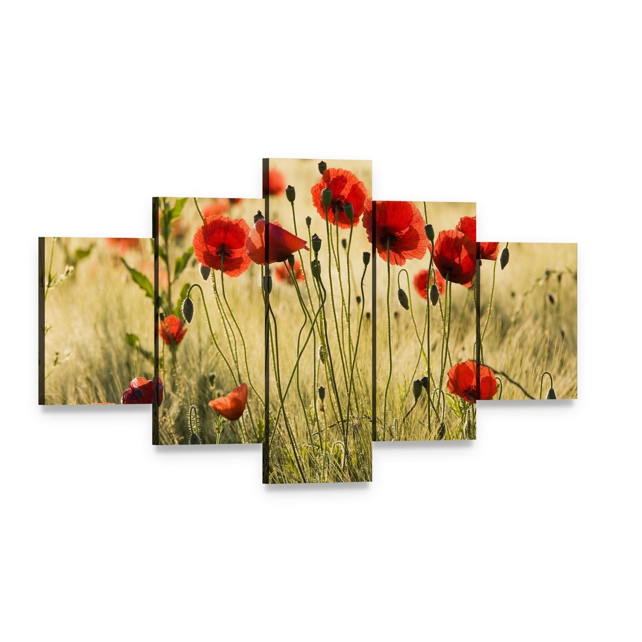 Poppy Flower Field Canvas Wall Art, 5 panel 5 Star layout gallery wrapped canvas set, angled product view