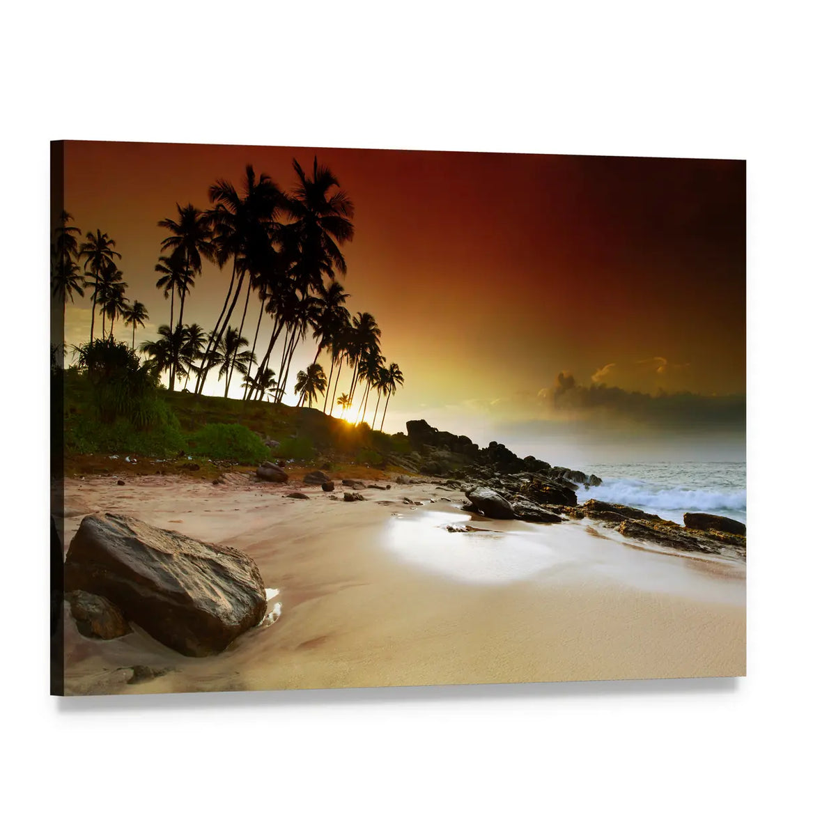Sunrise Under Coconut Palms on Beach Canvas Wall Art, single panel gallery wrapped canvas, angled product view