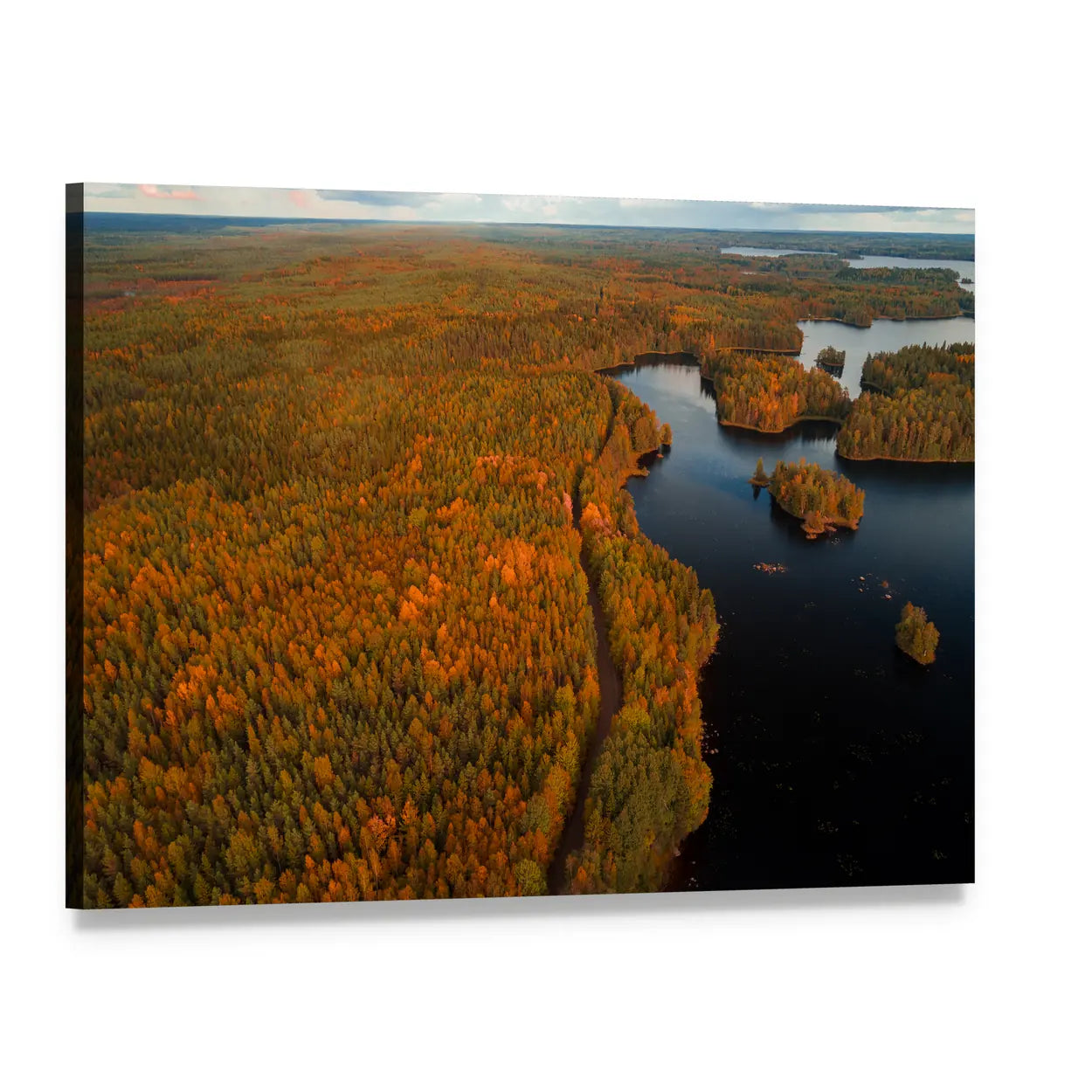 Autumn at Liesjärvi National Park Canvas Wall Art, single panel gallery wrapped canvas, angled product view