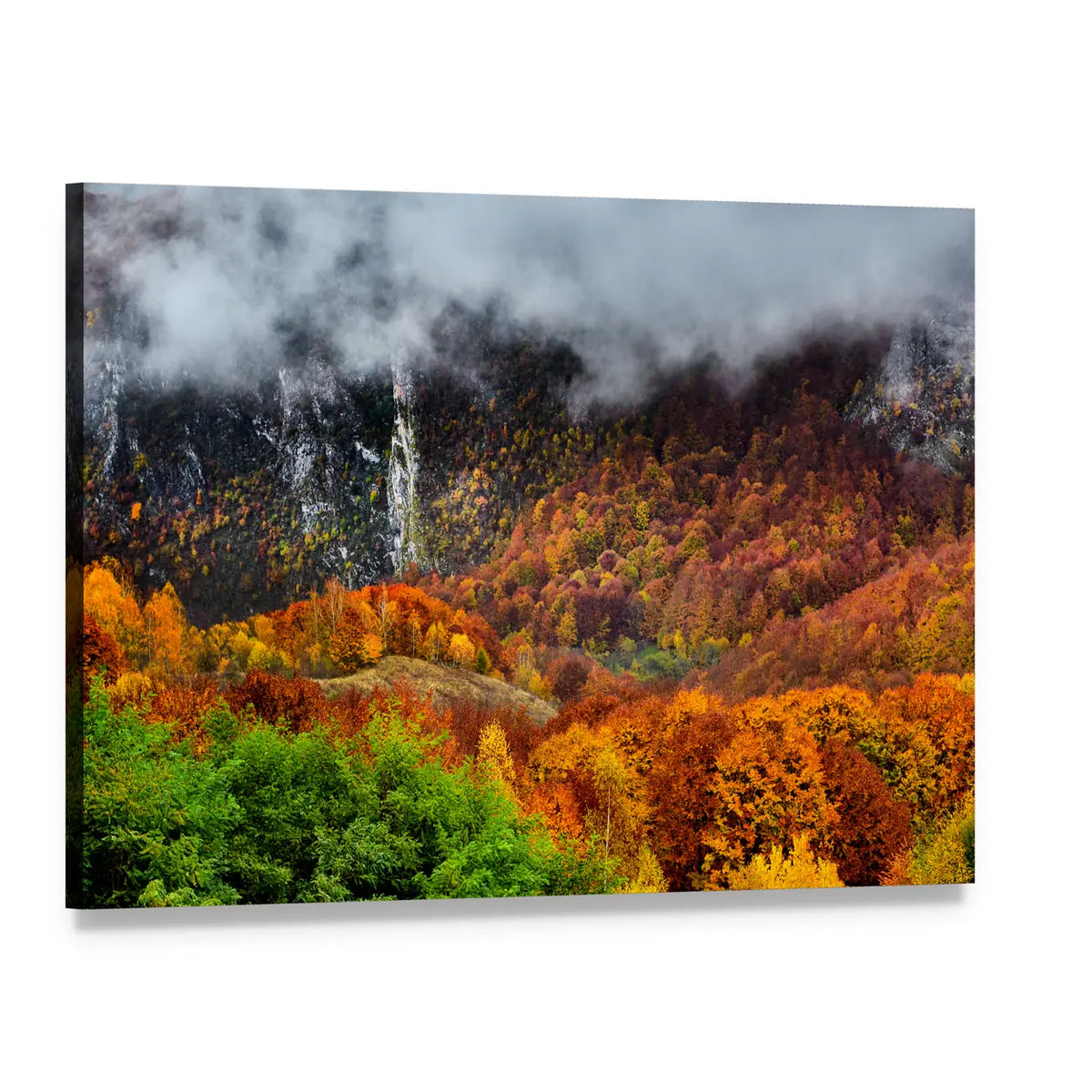 Romania Wild Carpathian Mountains Canvas Wall Art, single panel gallery wrapped canvas, angled product view