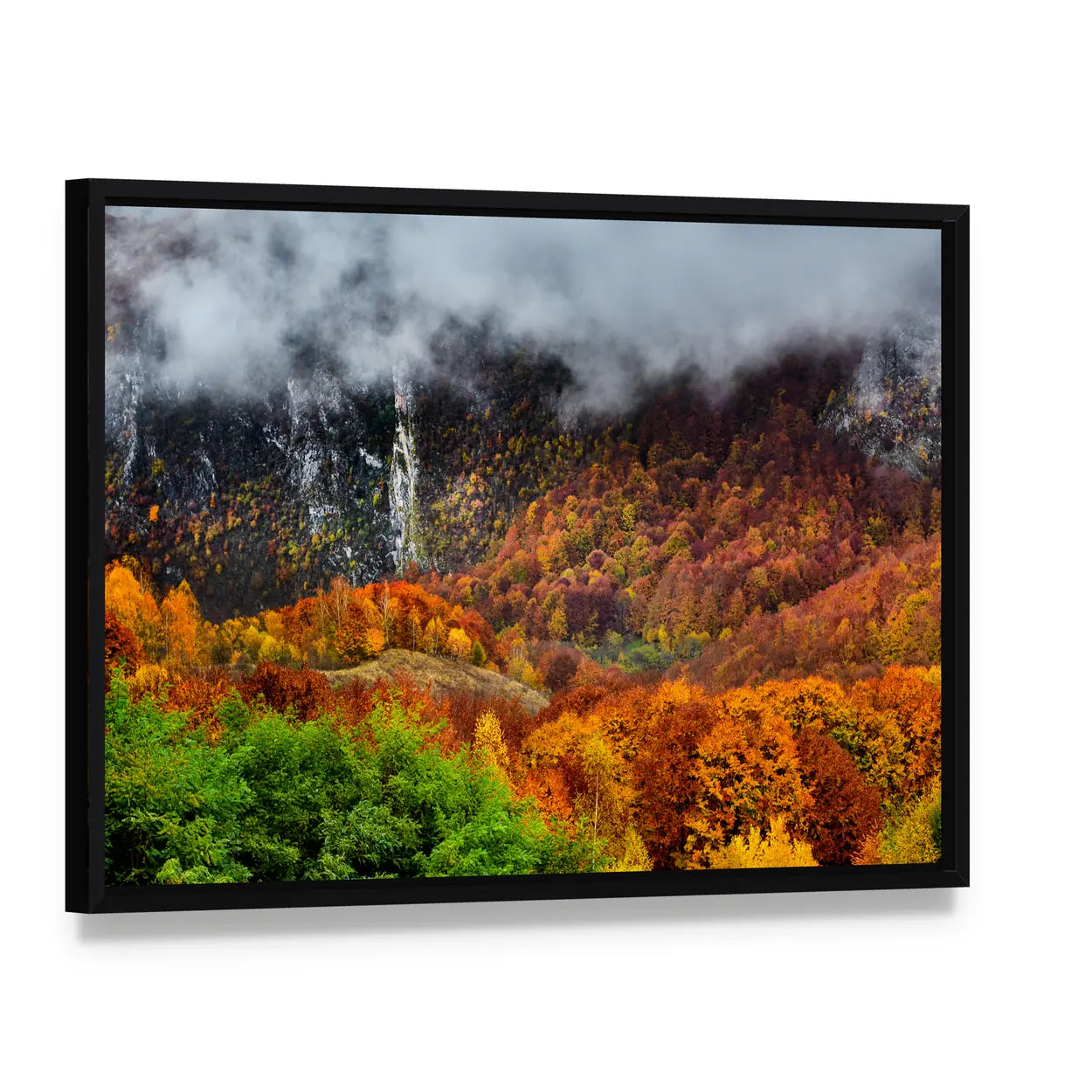 Romania Wild Carpathian Mountains Canvas Wall Art, framed canvas in a black floater frame, angled product view
