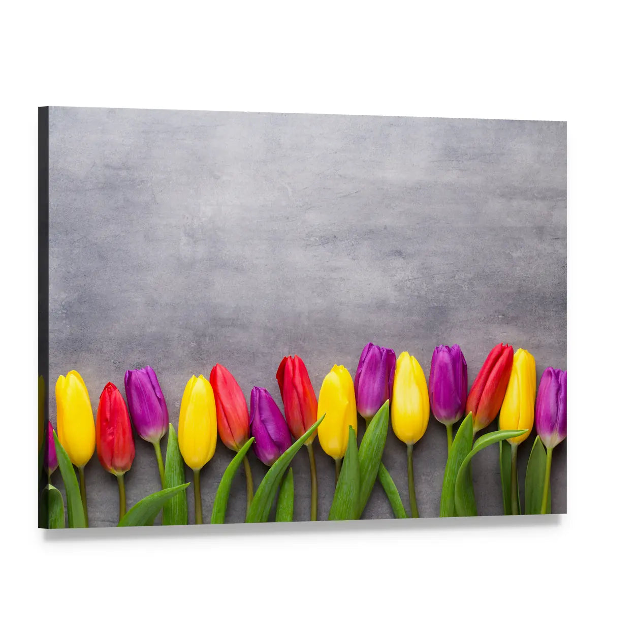 Multicolored Spring Flowers Tulips Canvas Wall Art, single panel gallery wrapped canvas, angled product view