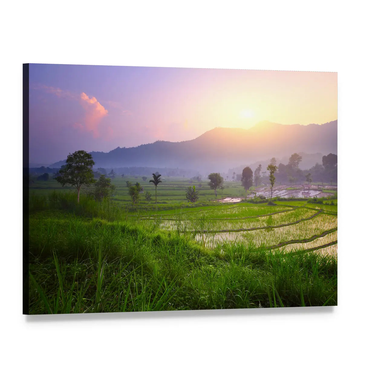 Rice Terrace Valley at Sunrise Canvas Wall Art, single panel gallery wrapped canvas, angled product view