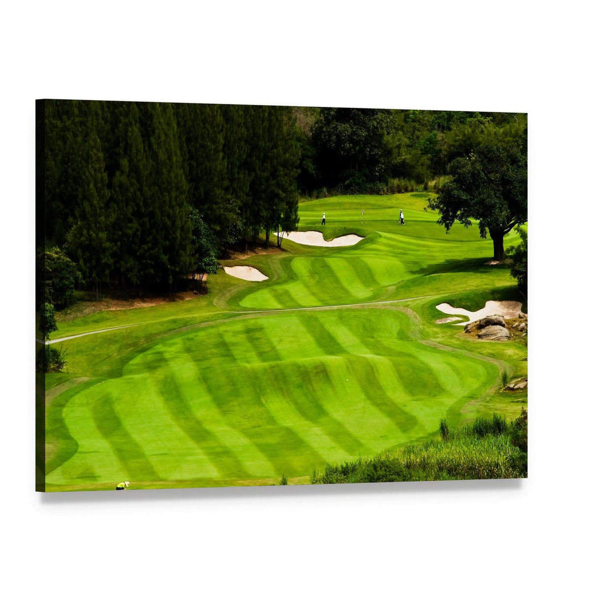 Golf Course Landscape Canvas Wall Art, single panel gallery wrapped canvas, angled product view