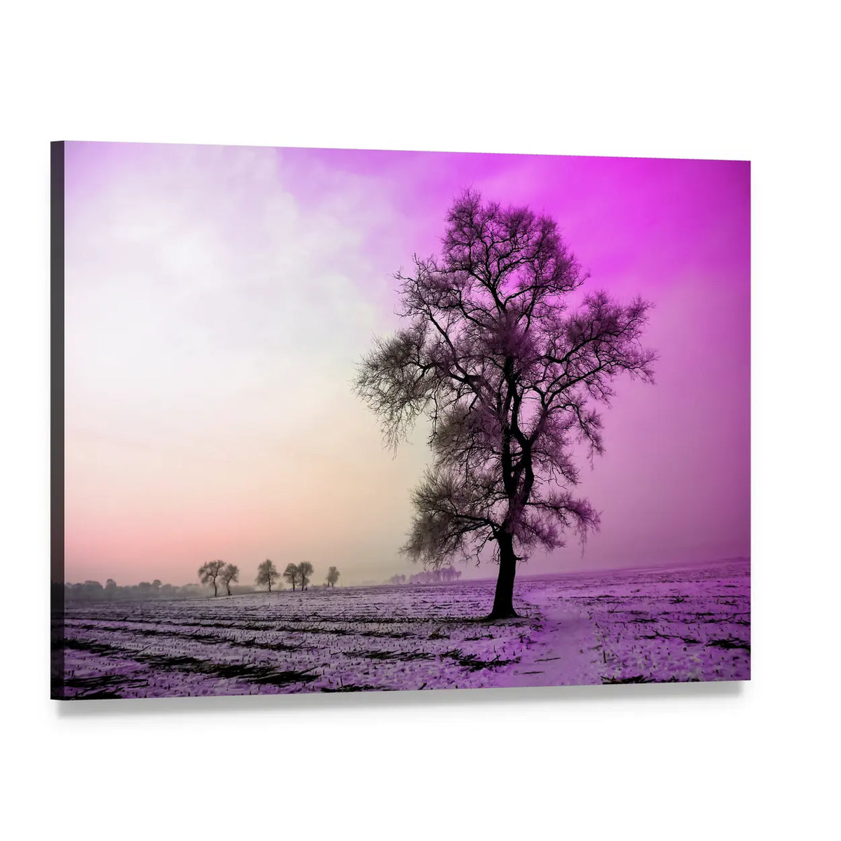 Winter Morning Landscape with Frosted Tree Canvas Wall Art, single panel gallery wrapped canvas, angled product view