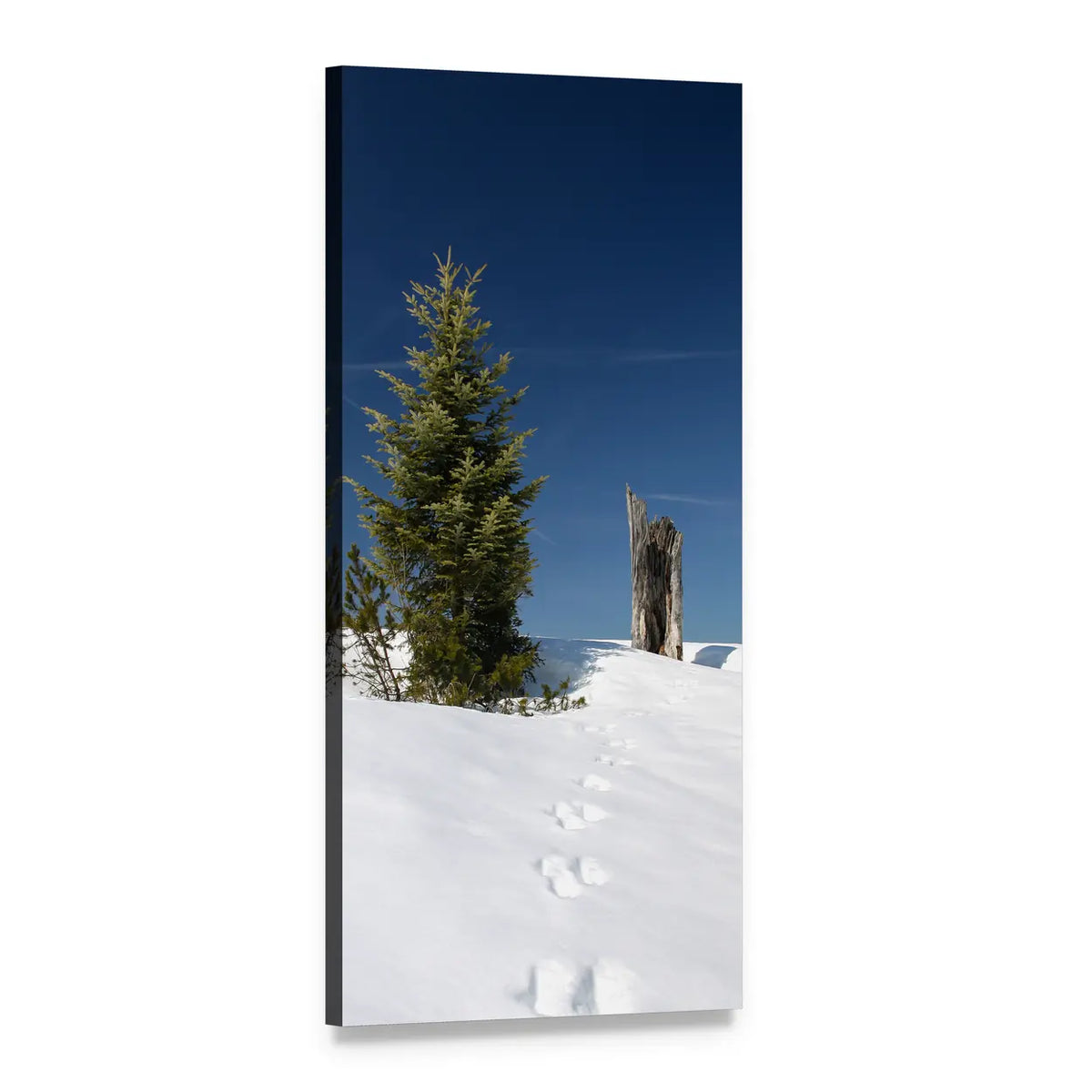 Snow Tracks to Evergreen Ridge Vertical Canvas Wall Art, 1 panel 1 Vertical layout gallery wrapped canvas set, angled product view