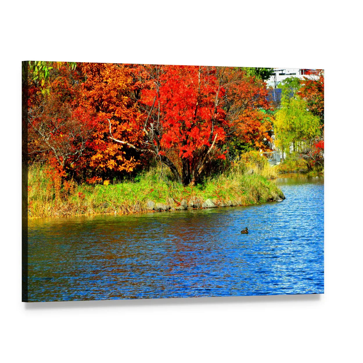 Autumn Lake with Red Foliage Canvas Wall Art, single panel gallery wrapped canvas, angled product view