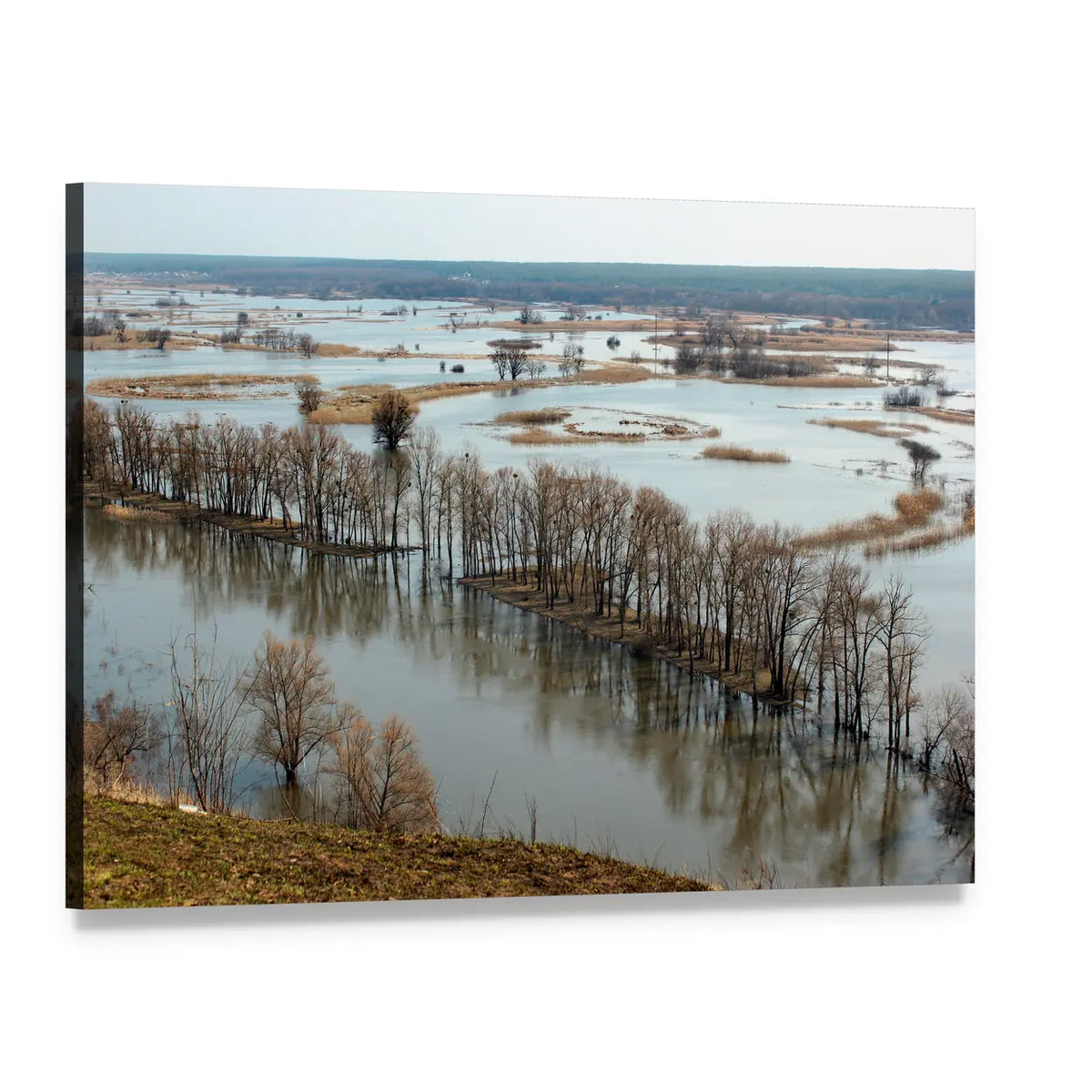 Flooded Trees on Donets River Canvas Wall Art, single panel gallery wrapped canvas, angled product view
