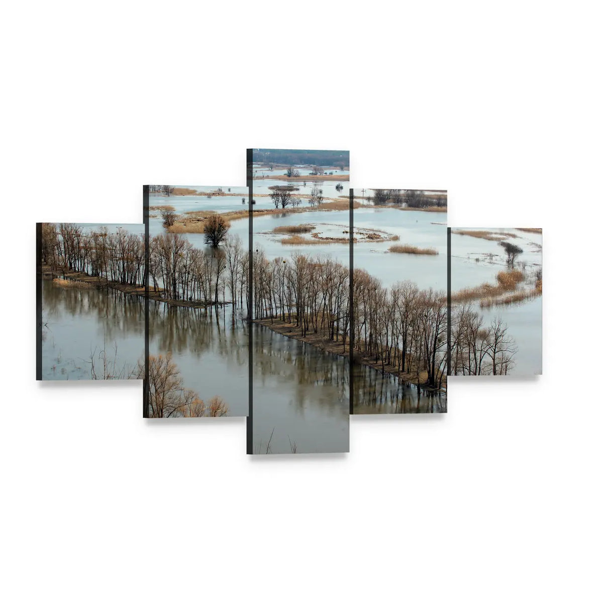 Flooded Trees on Donets River Canvas Wall Art, 5 panel 5 Star layout gallery wrapped canvas set, angled product view