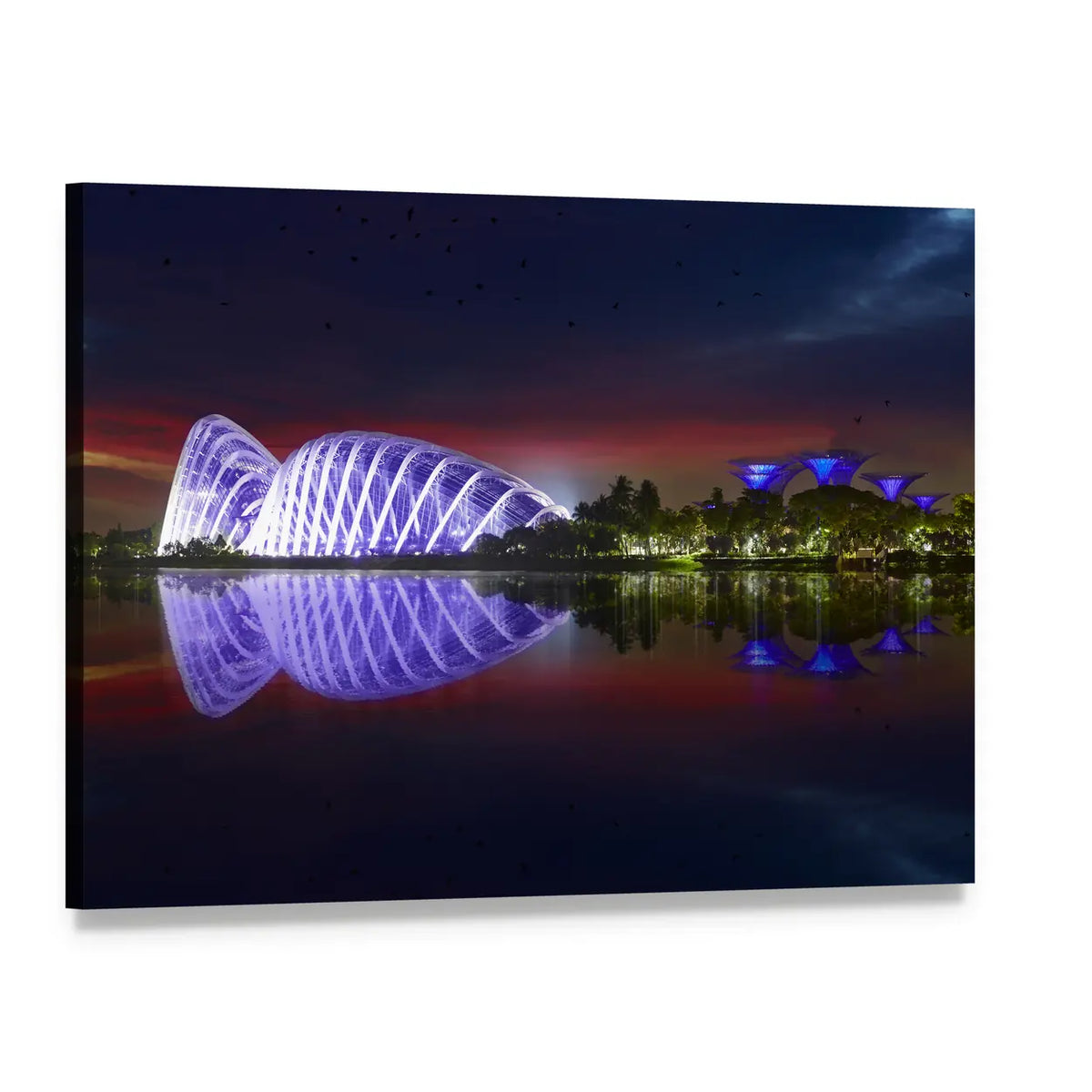 Singapore Gardens by the Bay Night Reflection Canvas Wall Art, single panel gallery wrapped canvas, angled product view