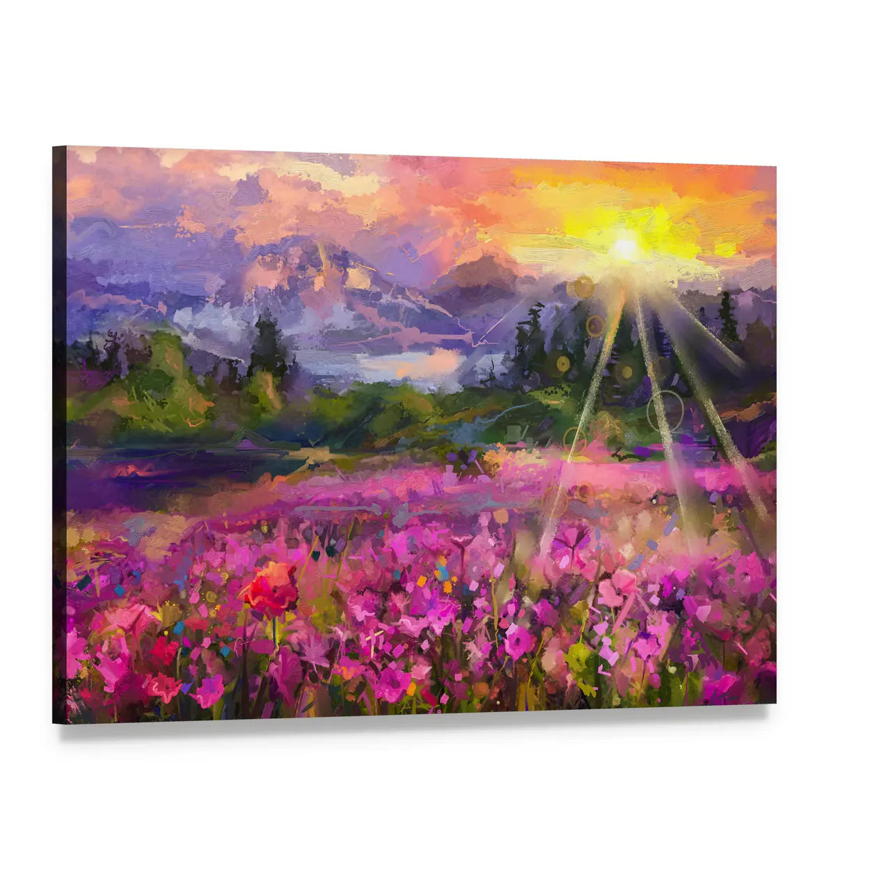 Purple Cosmos Meadow at Golden Hour Canvas Wall Art, single panel gallery wrapped canvas, angled product view