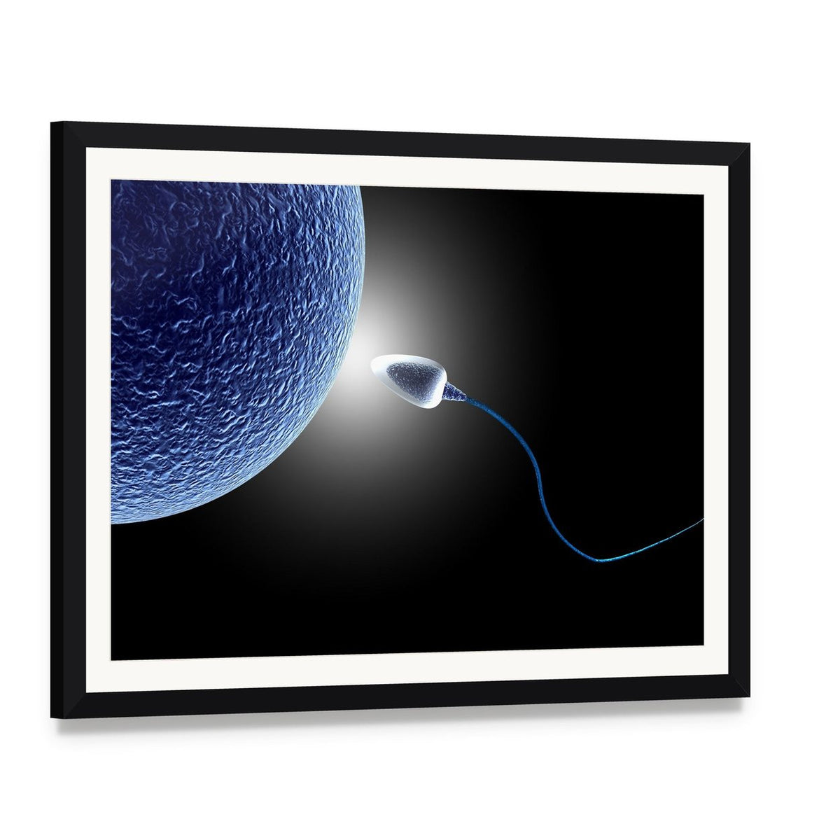 Human Sperm and Egg Close-up Canvas Wall Art, framed print with white mat and black frame, angled product view