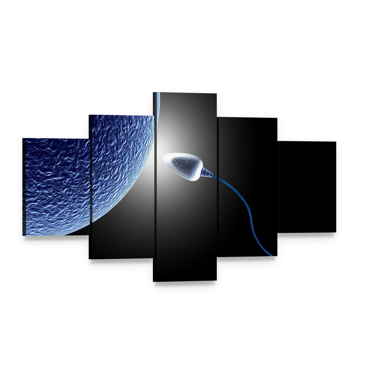 Human Sperm and Egg Close-up Canvas Wall Art, 5 panel 5 Star layout gallery wrapped canvas set, angled product view